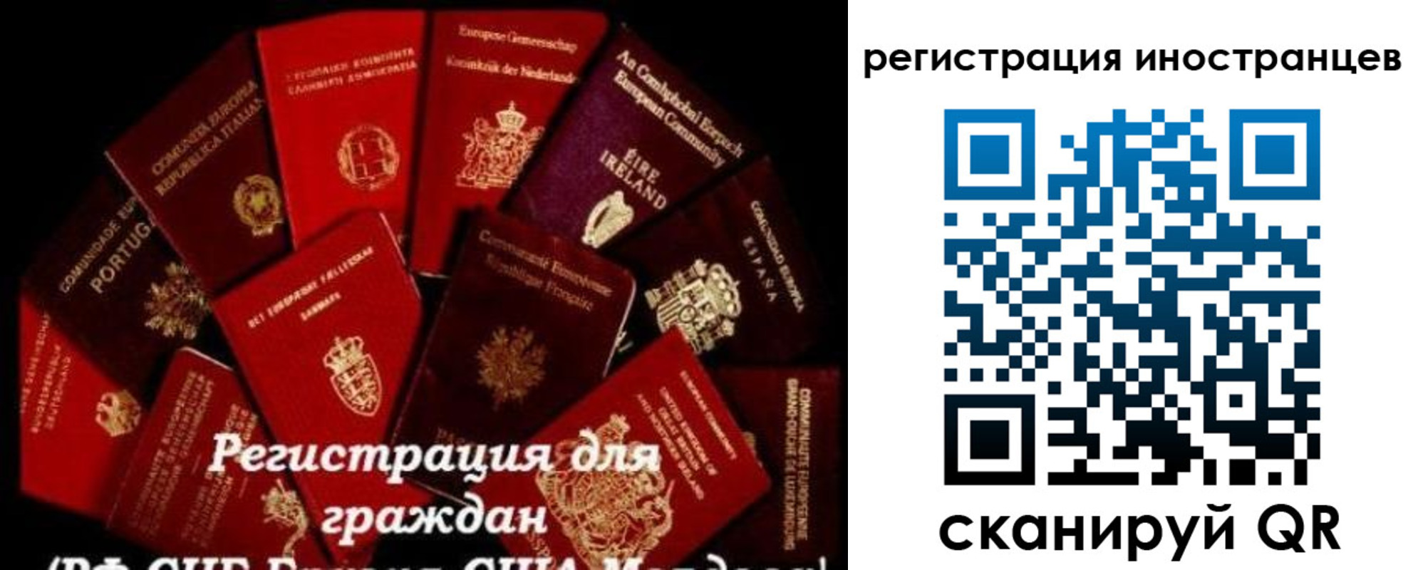 прописка иностранных граждан в Кингисеппе